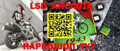 гидра Камышлов