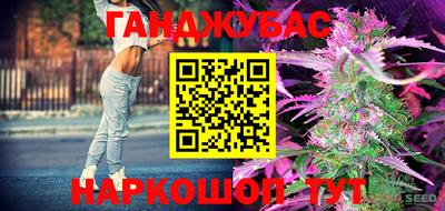 гидра Камышлов