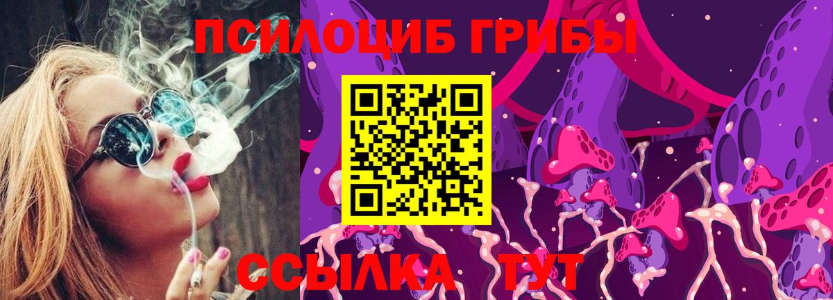 Лениногорск  Галлюциногенные грибы MAGIC MUSHROOMS  Псилоцибиновые грибы Psilocybe  Вход с VPN 